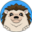 www.hahayes.world favicon
